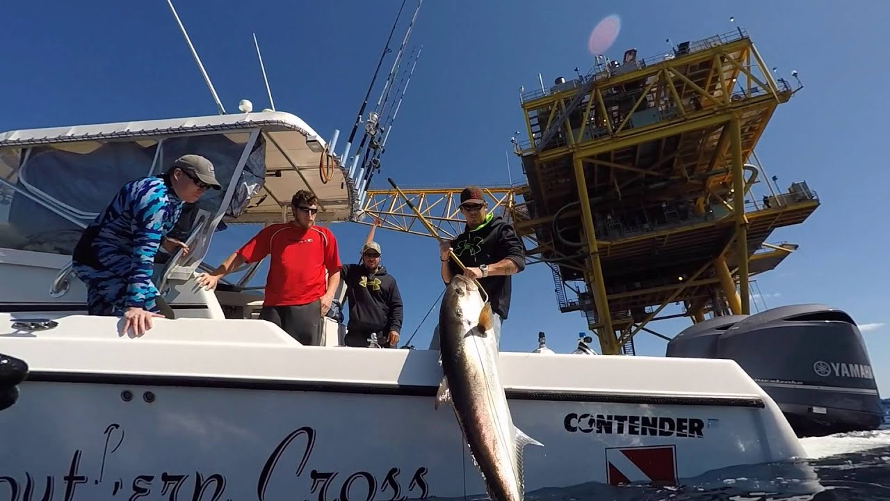 Spearfishing Texas Amberjack Edition March 2016 YouTube