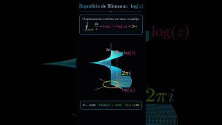 La geometría de 1/z y la altura de log(z) #matematicas #maths #merlinomath