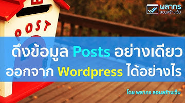 ดึงข้อมูล Posts อย่างเดียว ออกจาก Wordpress ได้อย่างไร 🤩