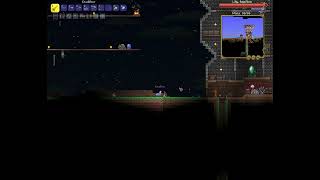 I Found A New Hoik In Terraria
