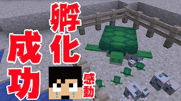 マイクラ亀の育て方 Mp3