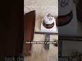 How to Celing fan fitting#shorts#Electrician ￼
