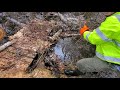 Unclogging And Rebuilding Abandoned Trail System Through The Forest