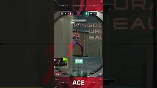 sociablEE can really do it all #vct