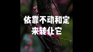 201707 依靠不动和定来转化它23148