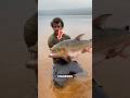 River Monster With Steak-Knife Teeth 😱 (Goliath Tigerfish)#viralshorts