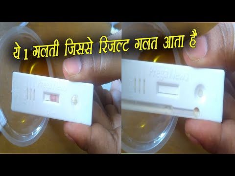 वीडियो: 10 संभावित डील ब्रेकर जो आपके कुत्ते के साथ आपके रिश्ते का परीक्षण करेंगे