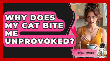 Why Does My Cat Bite Me Unprovoked? - Happy Cat Handbook