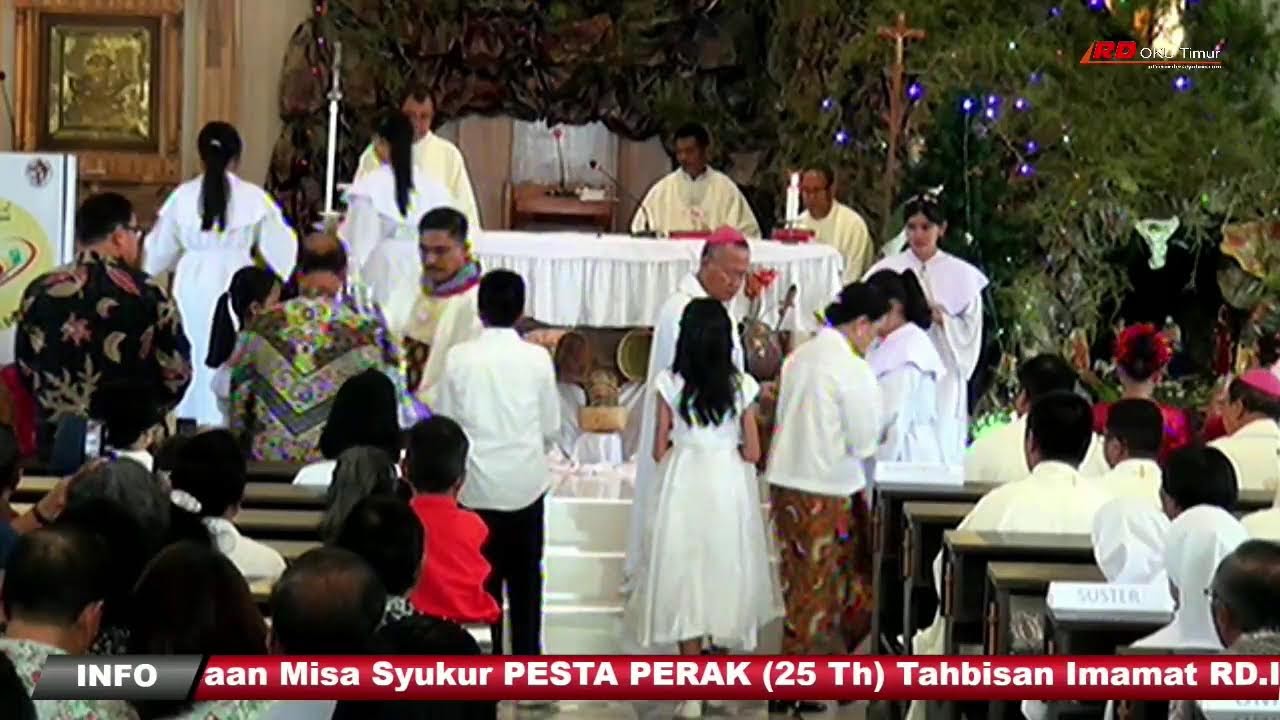 Live Stream deo warna