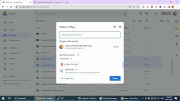What Happens if a Co-editor delete the files owned by the owner in a Shared folder (Google Drive)