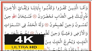 00531 Rûm Sûresi 16-24. Ayetler - Muhammed Eyyup - محمد أيوب - (Yavaş Okuma)