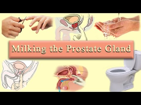milking the prostate gland - YouTube