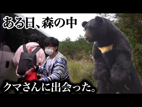 【ドッキリ】森の中で大きなクマさんに出会った時の反応が異常すぎた！？ Meat a bear prank
