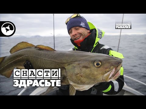 Как поймать крупную треску | Снасти, здрасьте!