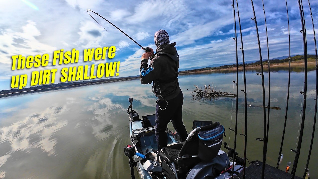 Winter SHALLOW Power Fishing in California (2026)
