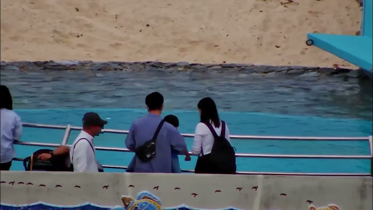 沖縄美ら海水族館に設置決定 | 株式会社DXスコープのプレスリリース