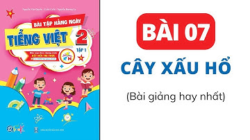 Bài 7 - Cây xấu hổ | Bài tập hằng ngày | Tiếng Việt lớp 2 | Kết Nối | Cô Uyển Uyển