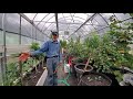 THIS Will Blow Your MIND!  IS a GREENHOUSE Worth It?