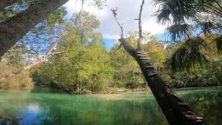 Florida Tree Jump Paradise