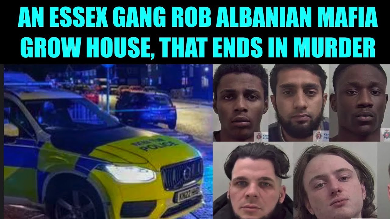 Essex Crew Raid grow, trapped upstairs, as Albanian Mafia arrive. True Crime