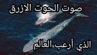 صوت الحوت الازرق في العالم /أصوات الحوت الازرق Blue whale voice