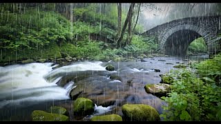 Rain River Serenity: Soothing Nature Sounds for Relaxation, Study, and Sleep