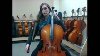 Gauntlet Cello