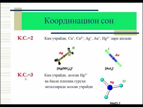 Video: Hlorofila Un Karotinoīdu Atšķirība