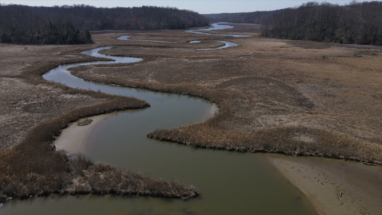 American Chestnut Land Trust, Prince Frederick, MD Footage by Tyler Kleist
