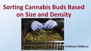 Sorting Cannabis Buds Based on Size and Density