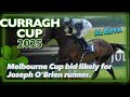 2025 Curragh Cup: Top Contenders Al Riffa, Shackleton & Harbour Wind 🏇