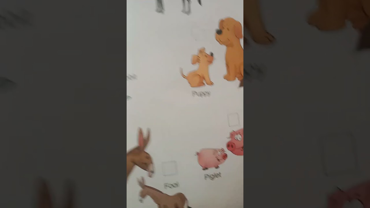 Pet animal and wild animal and their babies name