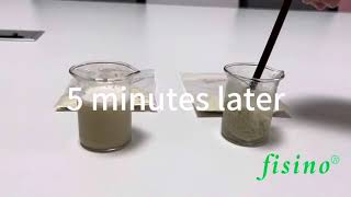 Solubility Comparison of Hydrolyzed Wheat Protein and Vital Wheat Gluten