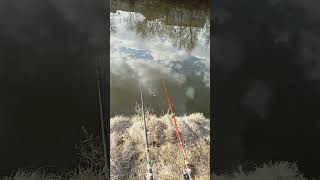 #carplife #carpworld #fishing