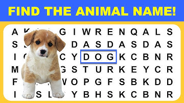 Word Search Puzzle Game FIND THE ANIMALS Name | Word Game Word Finder
