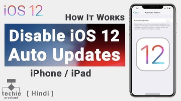 Turn Off iOS 12 Automatic Updates - iPhone, iPad | Techie Prashant | HINDI