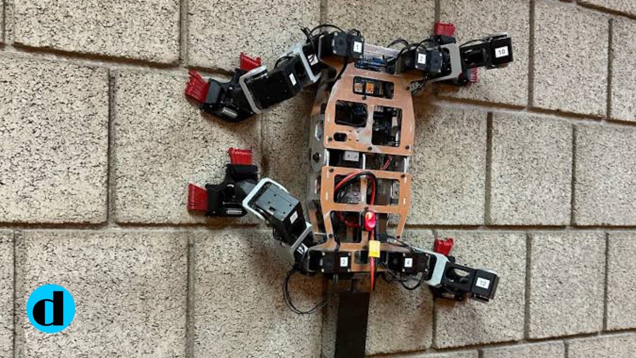 Rock Climbing Robot Scales Rough Walls Using Bio-Inspired Grippers