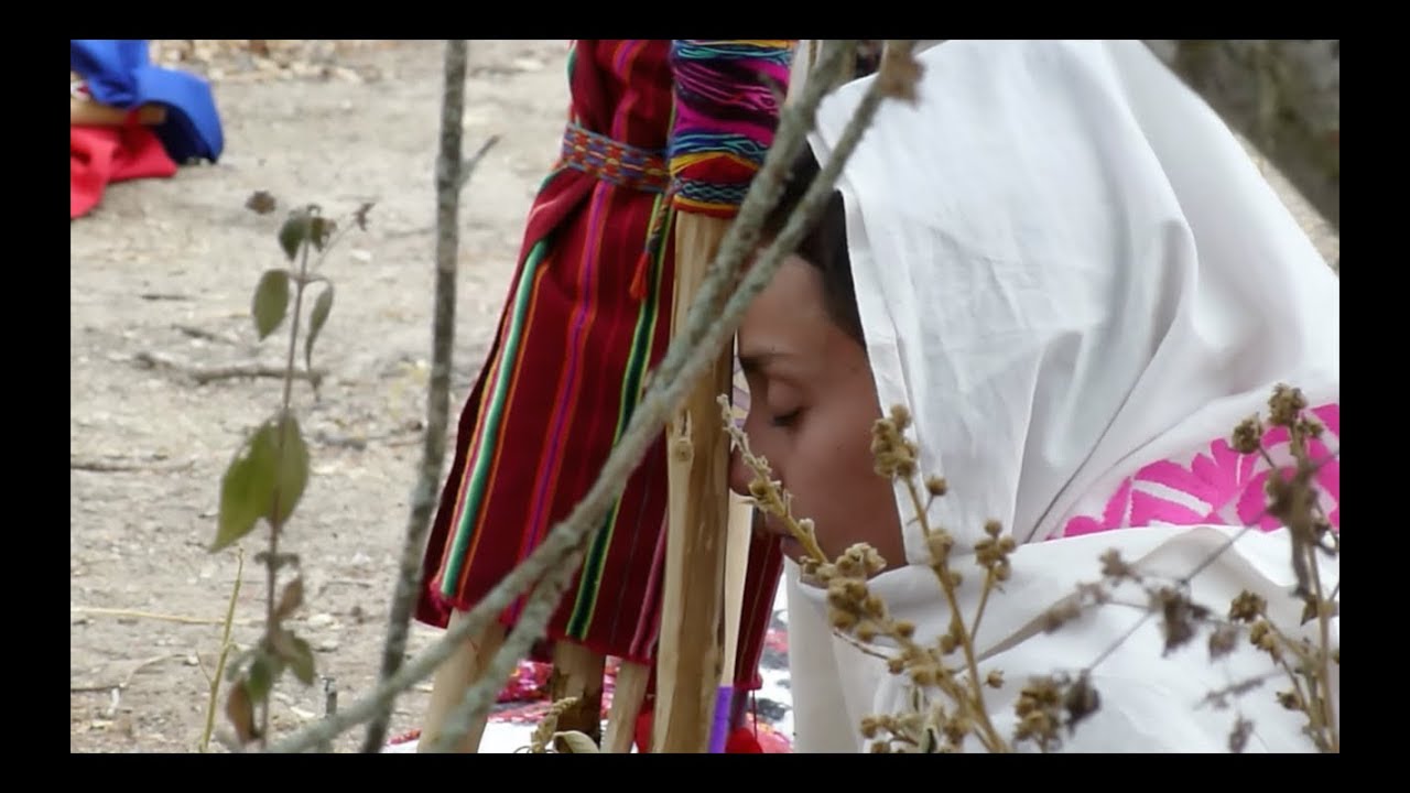 Busqueda de Visión