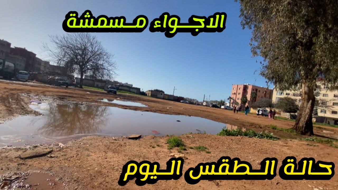 حالة الطقس المتوقعة اليوم عودة الشميسة اجواء مسمشة و ارتفاع ف درجات الحرارة نهارا 