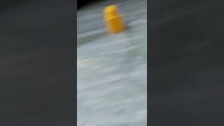 FedEx flight 14 crash