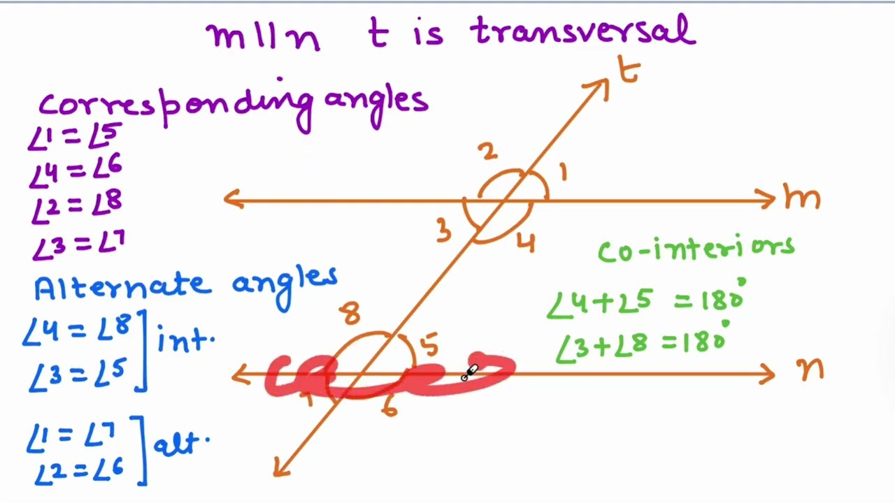 SAT Math Practice Test: Bundle 8 Module 2 (Full Solutions & Strategy)