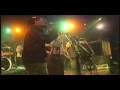 culture the live roots tours dvd rip