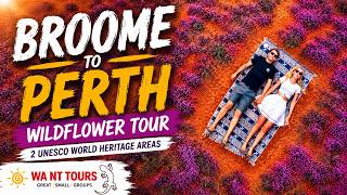 Broome to Perth Wildflower Tour | Karijini, Ningaloo Reef & Monkey Mia