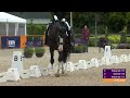 Re-Live | Competition 02 - Grand Prix A - Grade I - FEI Para Dressage European Championship