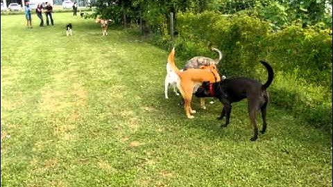 Mting Switzerland 5.2011.2