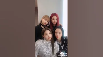 BLACKPINK's DDU-DU DDU-DU dance but it's adorable [TikTok]