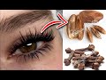 Put This On Your Eyelashes And Eyebrows And The Hair Will Grow There Thickly Put This On Your Eyelashes And Eyebrows And The Hair Will Grow There Thickly