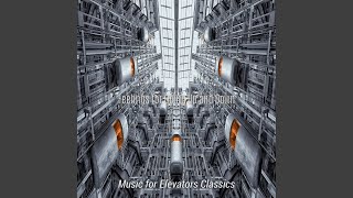 Marvellous Ambiance for Elevators