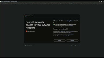 Video shows the OAuth consent screen for Google drive access