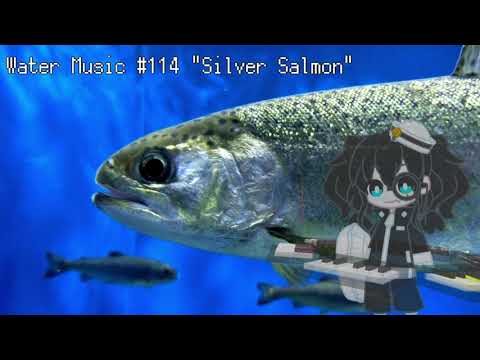 Water Music #114 "Silver Salmon"